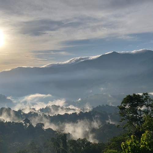 El planeta aún respira