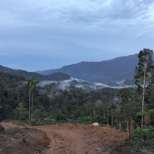 Photo #12640278