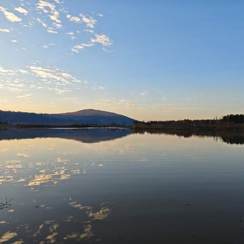 Photo #12640657