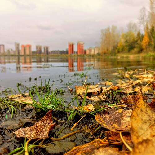 Photo #12640810