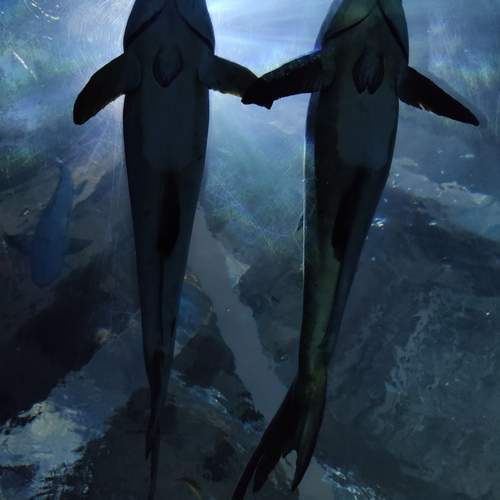 Photo #12640982