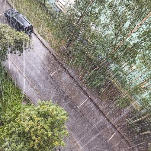 Photo #12641038