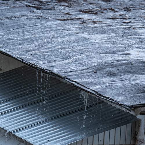 Photo #12641059