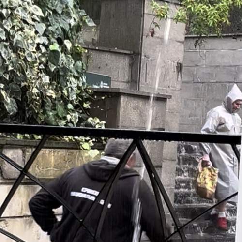 Photo #12641133