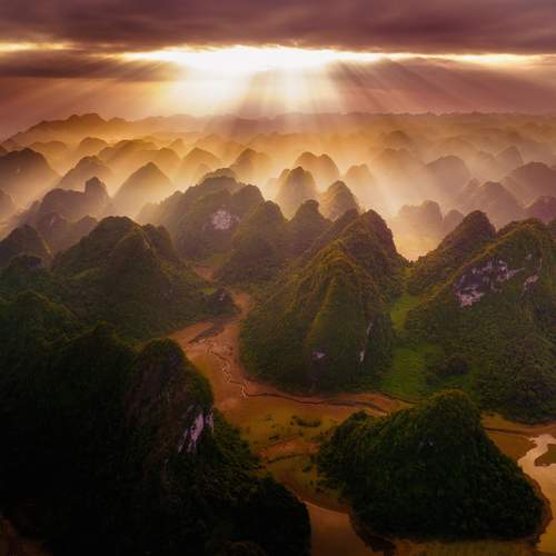Tran Phuong