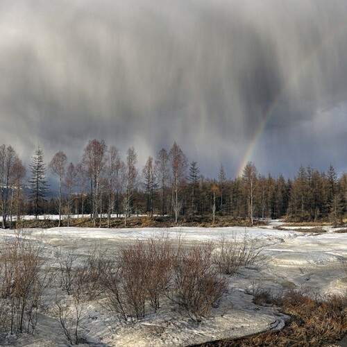Photo #12642700