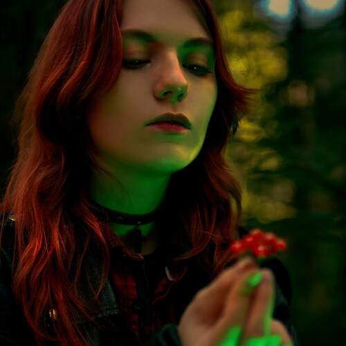 Photo #12642851