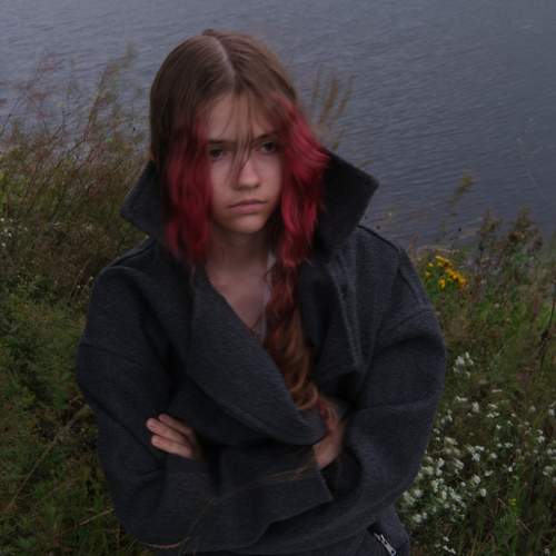 Photo #12642888
