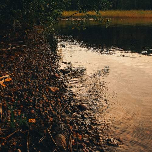 Photo #12643021
