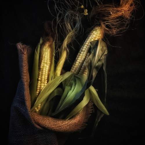 Photo #12643161