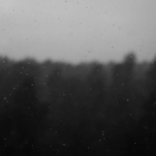 Photo #12644269