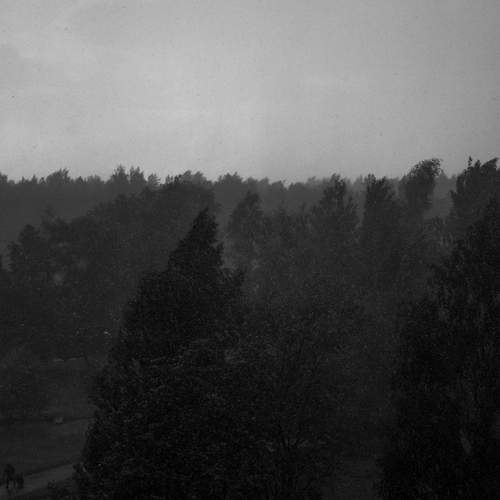 Photo #12644271