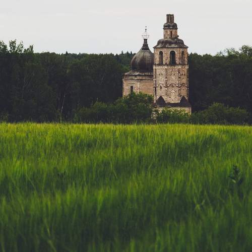 Photo #12644315