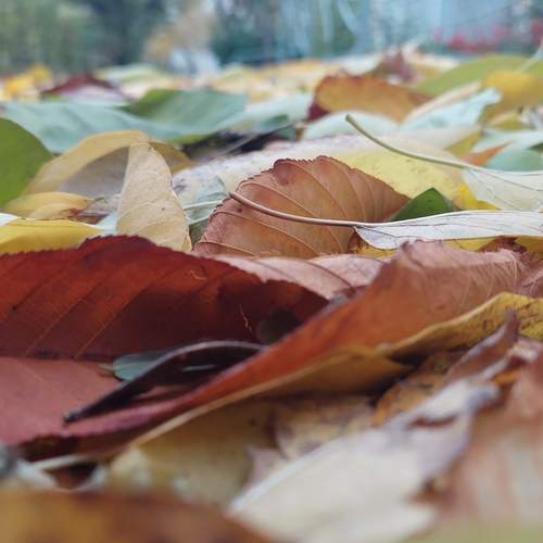 Photo #12644639