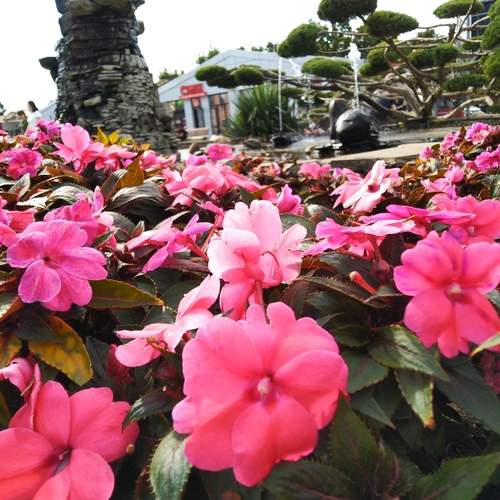 Photo #12644645