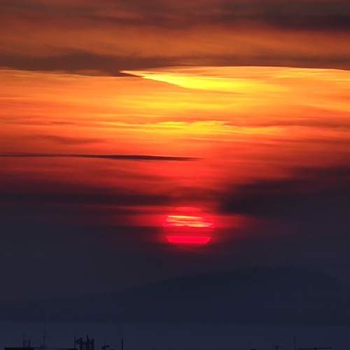 Photo #12644653