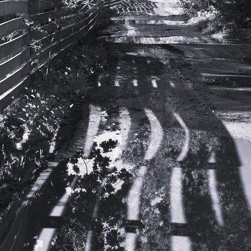 Фотография #12645033