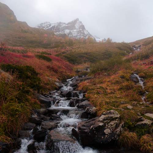 Photo #12645141