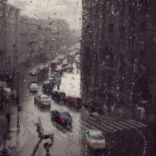 Photo #12645146