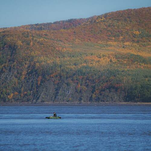 Photo #12645963