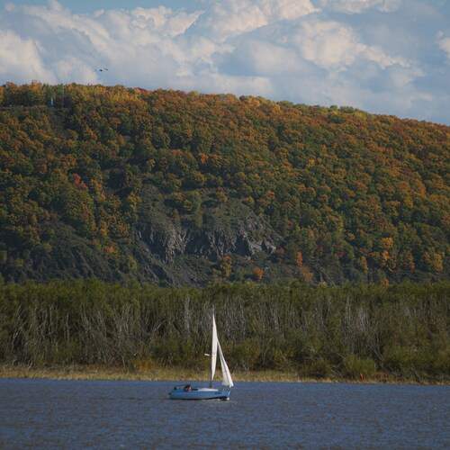 Photo #12645967
