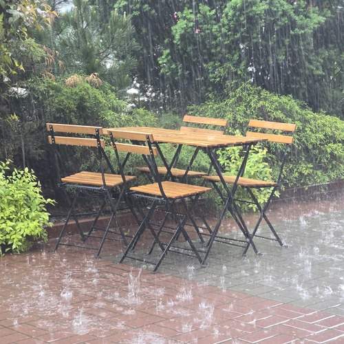 Photo #12646114