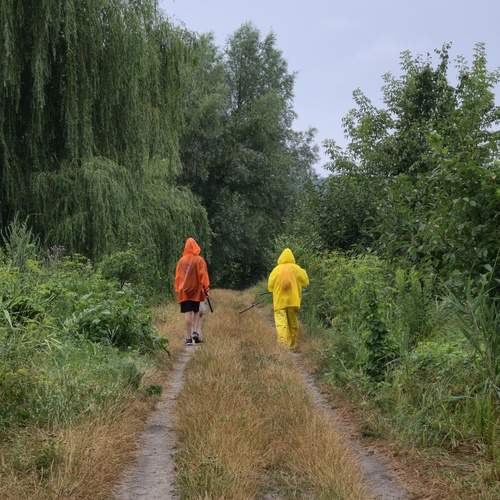 Photo #12646125