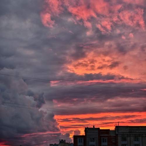 Photo #12646637