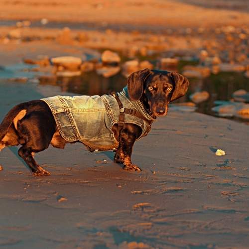 Photo #12646841