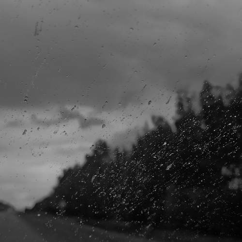 Photo #12646969