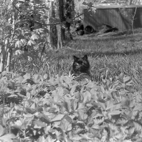 Photo #12647335