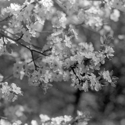 Photo #12647341