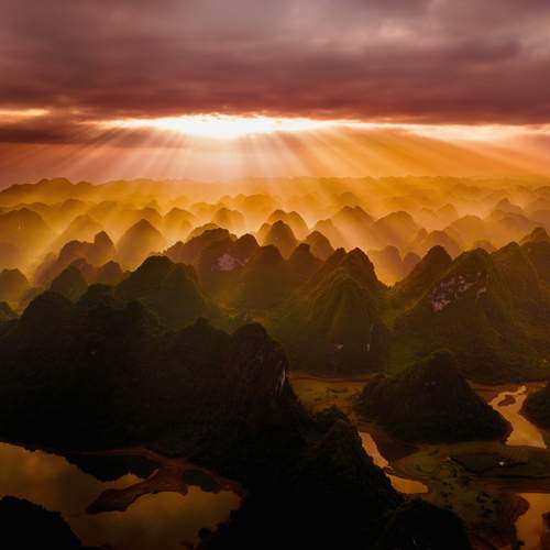Tran Phuong