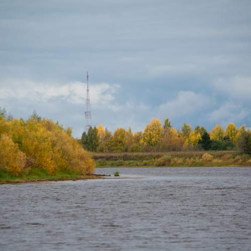 Осень золотистая
