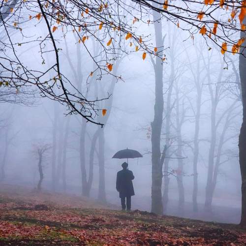 Alone in the fog