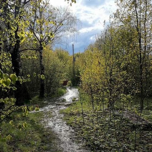 Photo #12647911