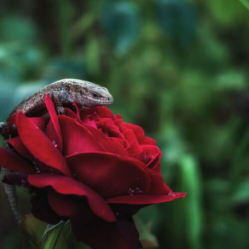 Photo #12647965