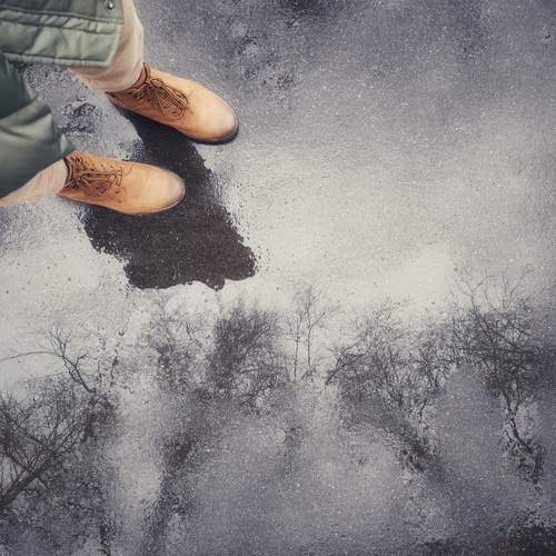Photo #12648115