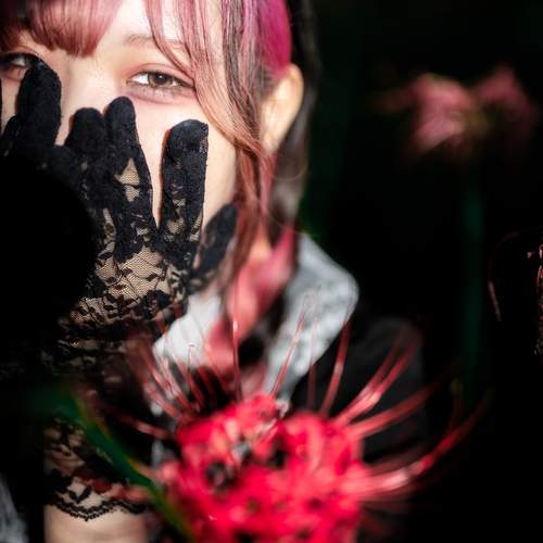 Photo #12648236
