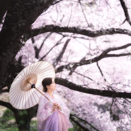 Photo #12648246