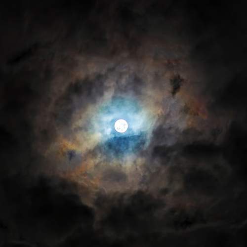 Photo #12648248
