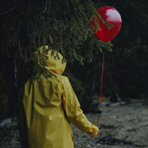 Photo #12648300
