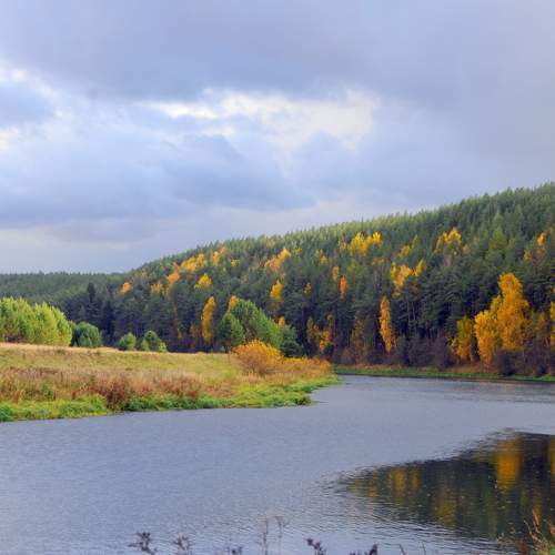Photo #12648356
