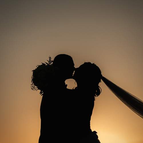 Photo #12648602