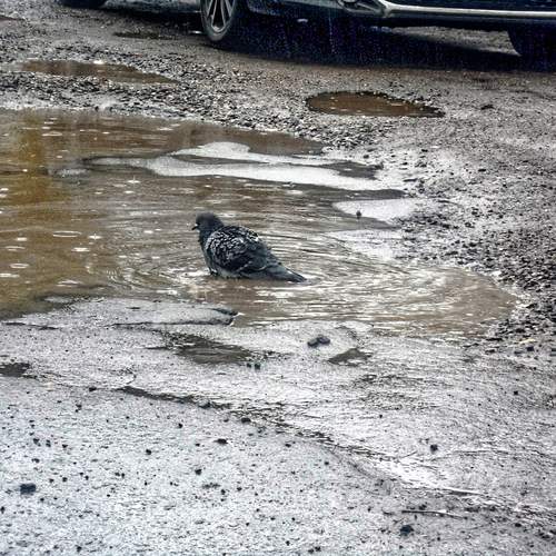 Photo #12648606