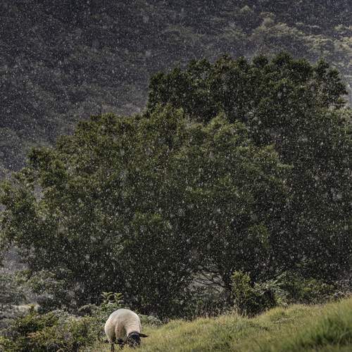 Photo #12648948
