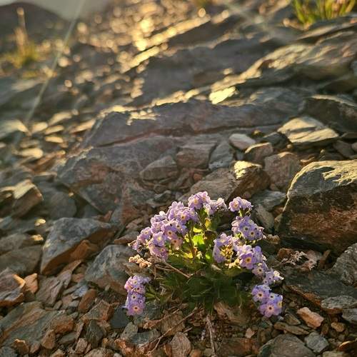 Photo #12649094
