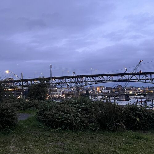 Photo #12649400