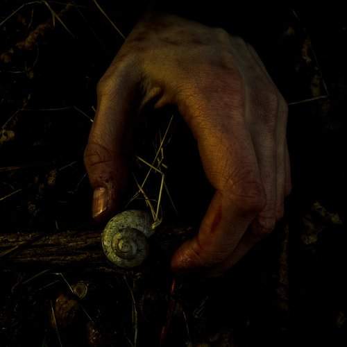 Photo #1267916