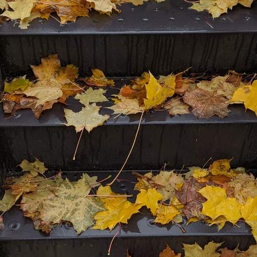 Photo #12650457
